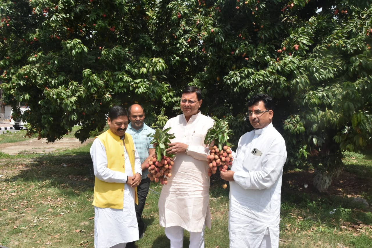 मुख्यमंत्री आवास परिसर में लीची सहित अन्य फलदार पेड़ों का सीएम ने किया निरीक्षण  -फलदार पेड़ लगाने के लिए जनजागरूकता की बताई जरूरत