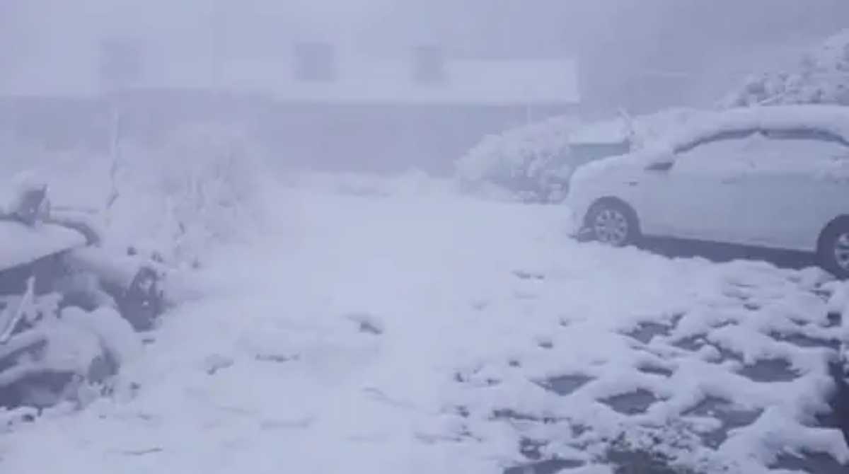 उत्तराखंड में 11-12 को बारिश और बर्फबारी के आसार, मैदानों में भी बढ़ेगी ठंड…