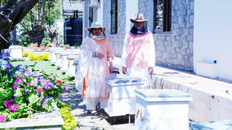 मुख्यमंत्री आवास परिसर में शहद निष्कासन का कार्य किया गया, सीएम ने किया निरीक्षण…