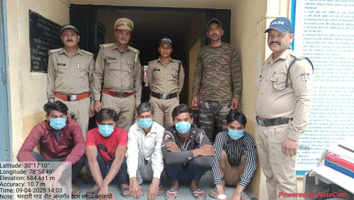 आग से जंगलों को नुकसान पहुंचाने वालों पर हुई कार्यवाही